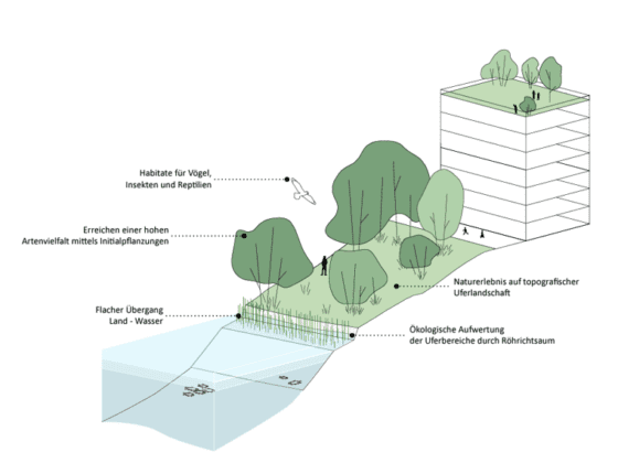 Verbesserung des Naturraums durch Renaturierung, Förderung der Artenvielfalt und Schaffung naturnaher Lebensräume entlang der Bille.