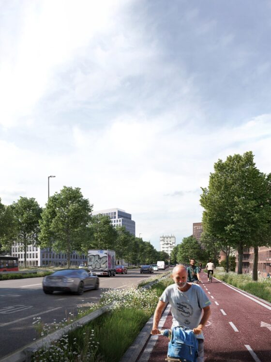 Visualisierung Straße und Fahrradwege Elbrücken
